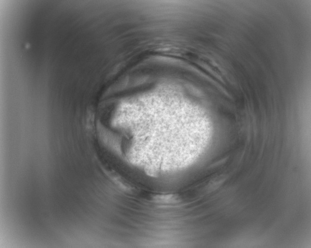 X0000068280281200605051849