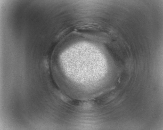 X0000068280282200605051849