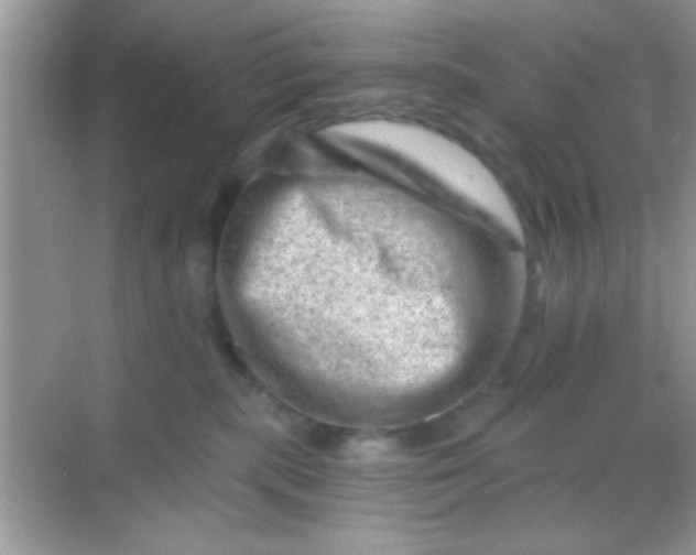 X0000068280283200605051849