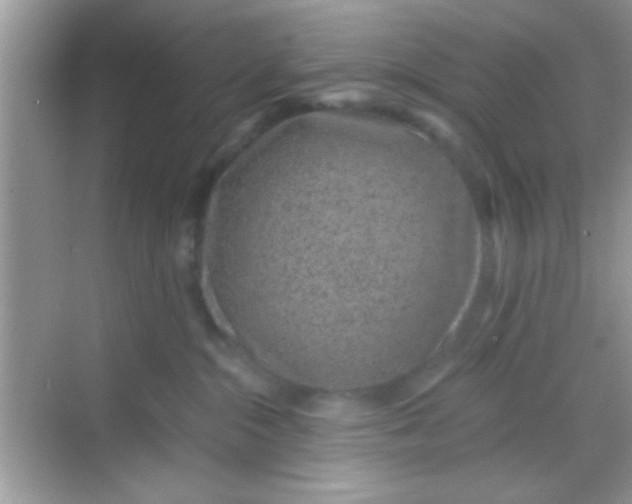 X0000068280284200605051849