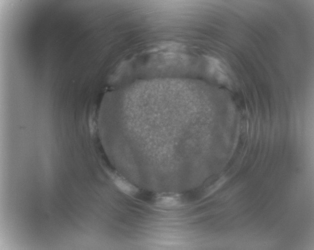 X0000068280285200605051849