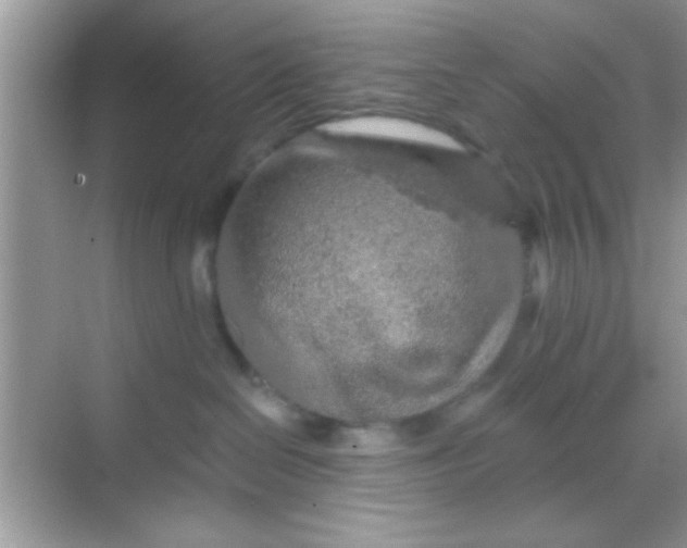 X0000068280286200605051849