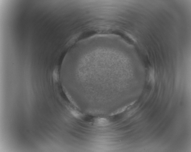 X0000068280287200605051849