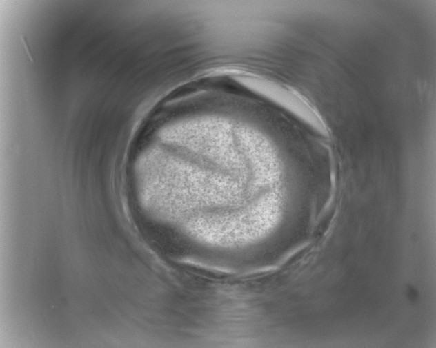 X0000068280289200605051849