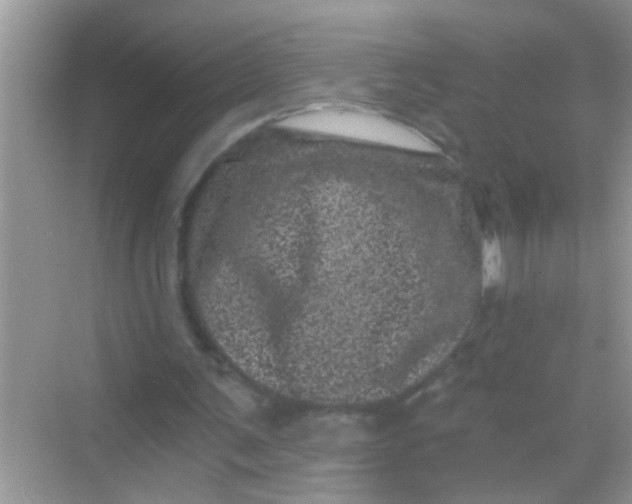 X0000068280291200605051848