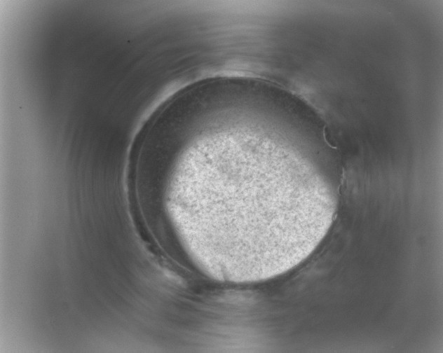 X0000068280292200605051848