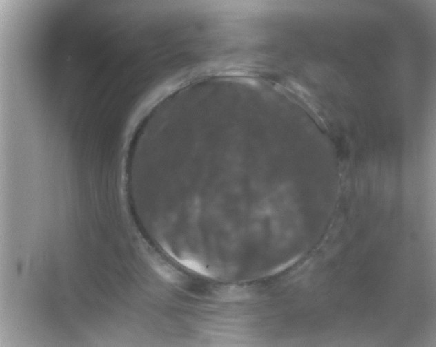 X0000068280293200605051848