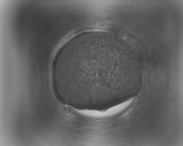 X0000068280295200605051848