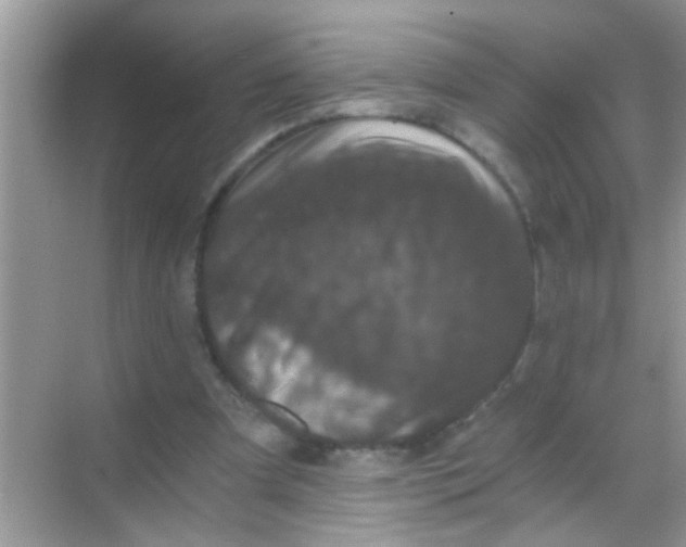 X0000068280297200605051848