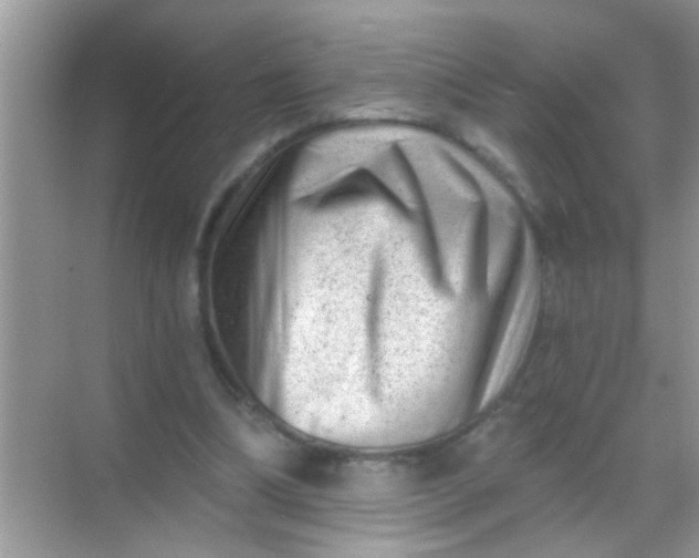 X0000068280298200605051848