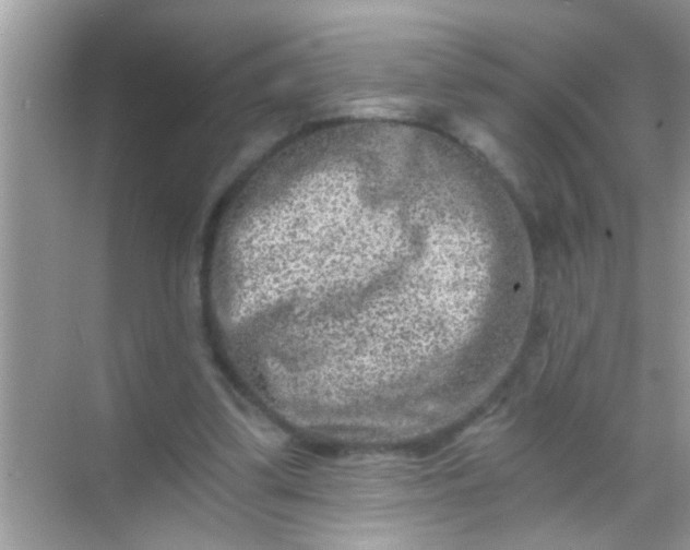 X0000068280299200605051848