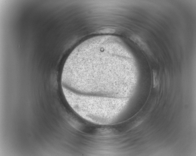 X0000068280300200605051848