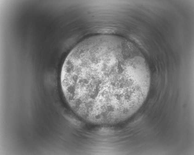 X0000068280303200605051848