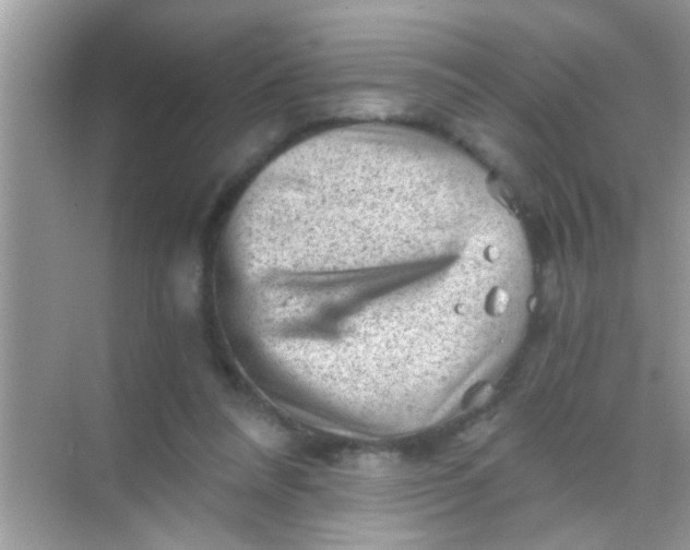 X0000068280304200605051848