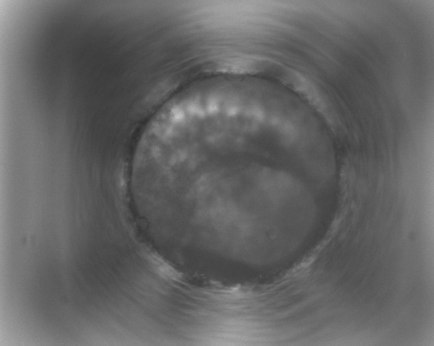 X0000068280305200605051848