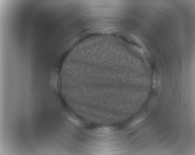 X0000068280307200605051848