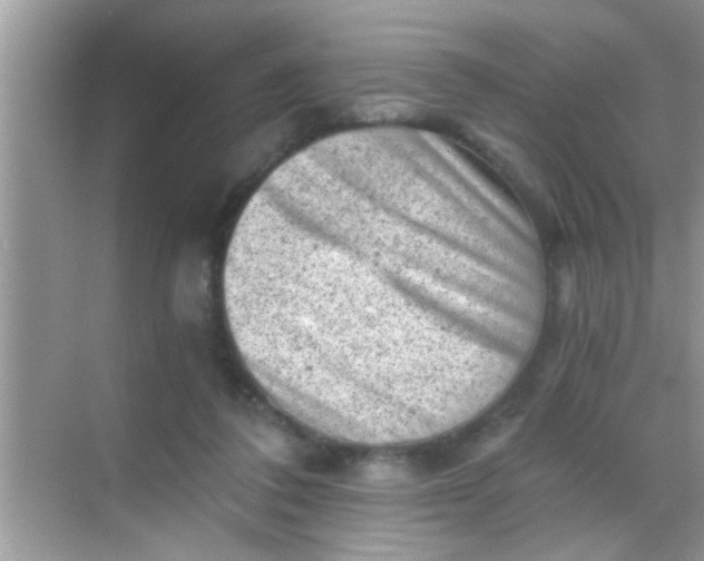 X0000068280308200605051848