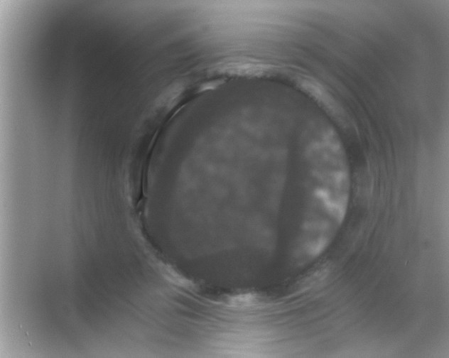 X0000068280309200605051848