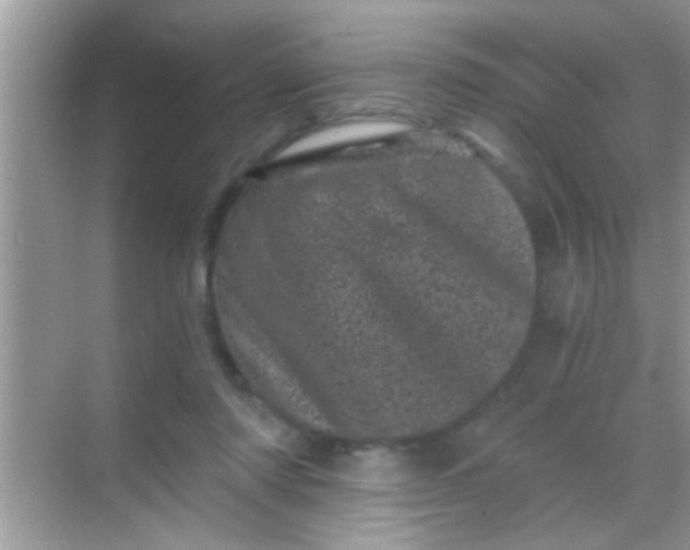 X0000068280310200605051848