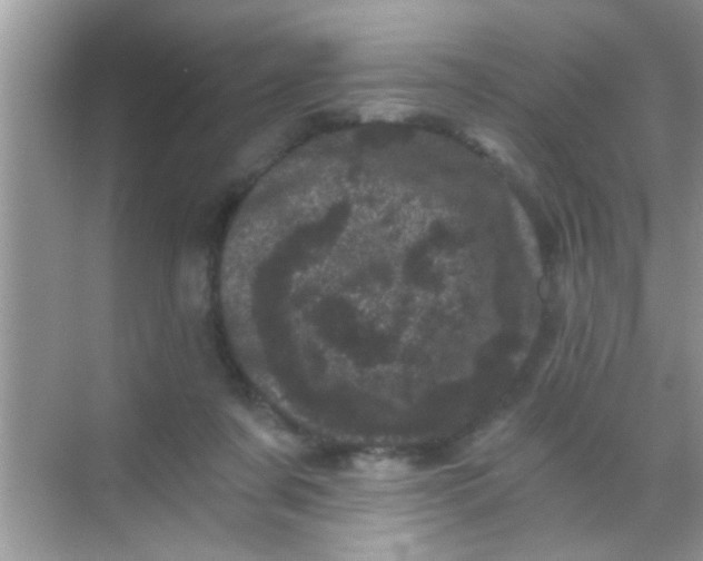 X0000068280311200605051848