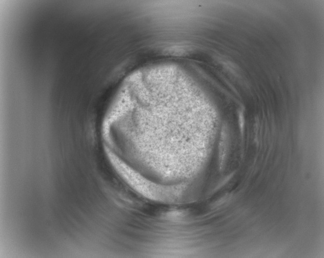 X0000068280312200605051848