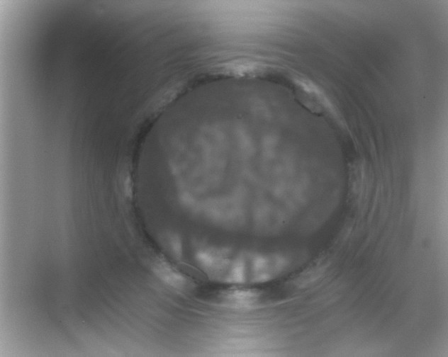 X0000068280313200605051848