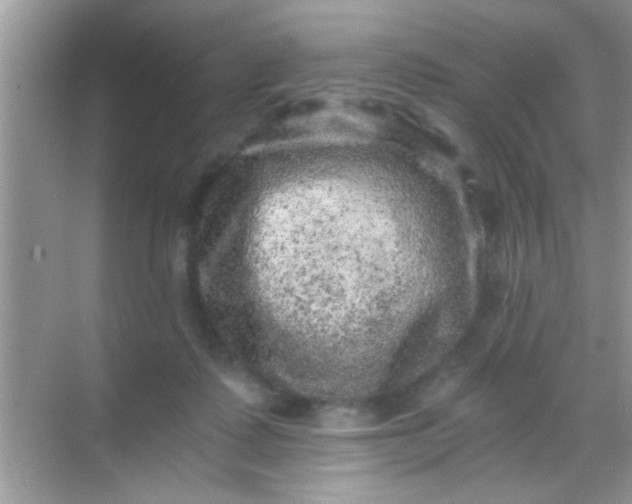 X0000068280315200605051848