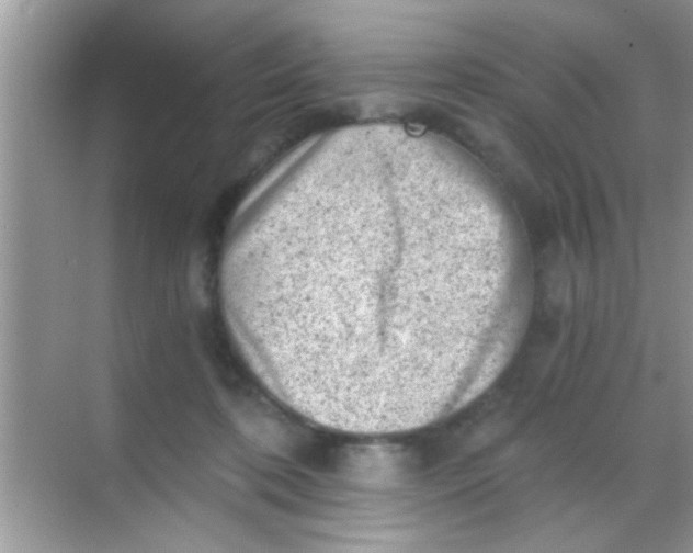 X0000068280316200605051848