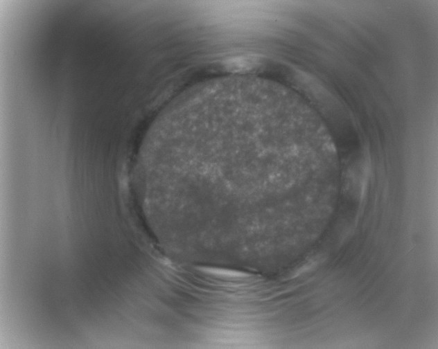 X0000068280317200605051848