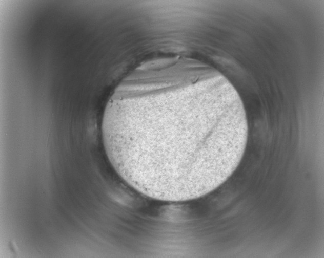 X0000068280320200605051848