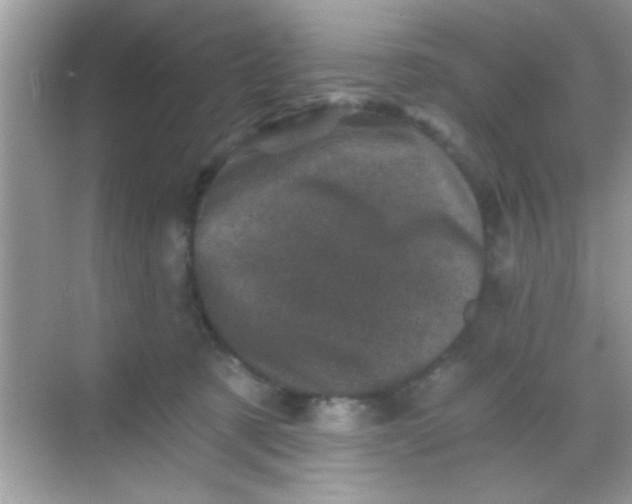 X0000068280321200605051848