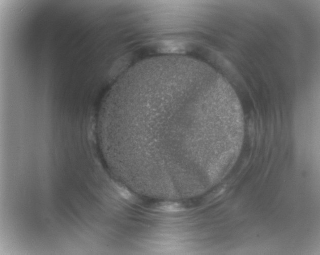 X0000068280322200605051848