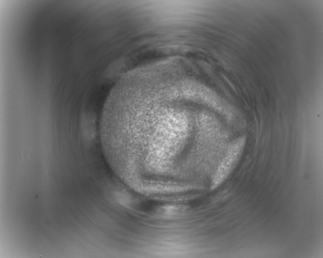 X0000068280323200605051848