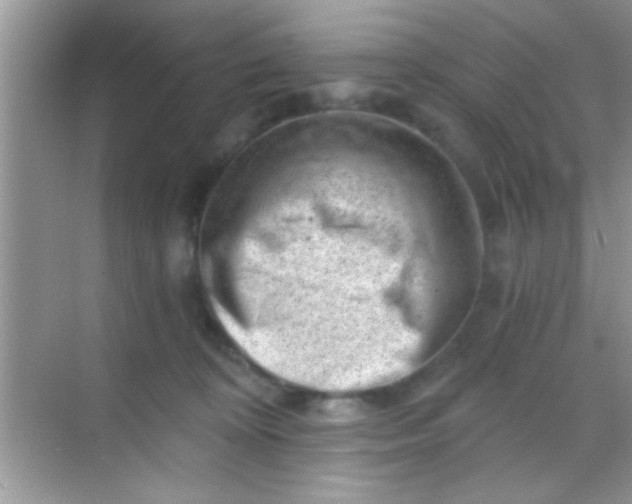 X0000068280324200605051848