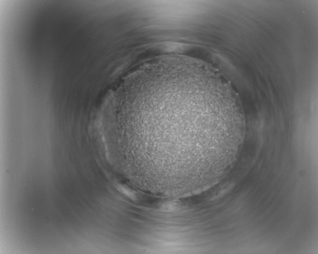 X0000068280325200605051848