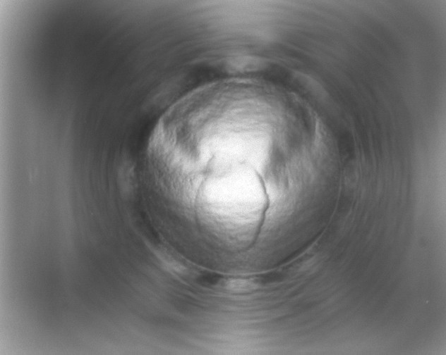 X0000068280327200605051848