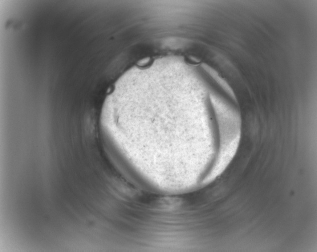 X0000068280328200605051848