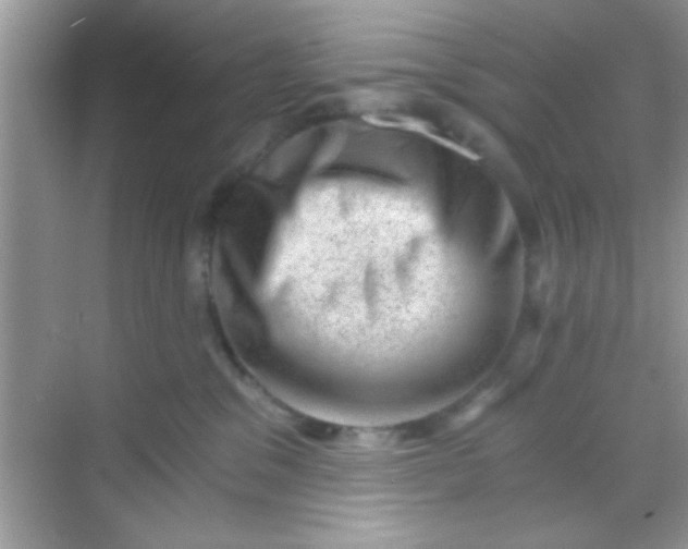 X0000068280329200605051848