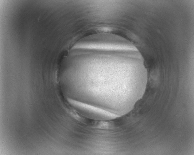 X0000068280330200605051848