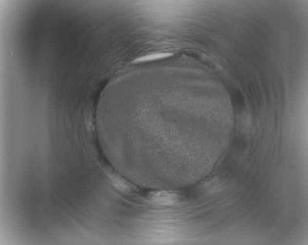 X0000068280331200605051848