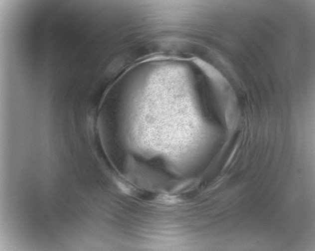 X0000068280333200605051848