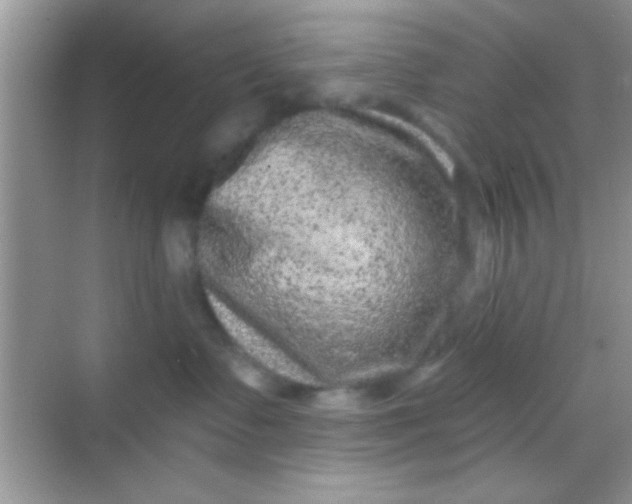 X0000068280335200605051848