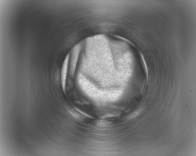 X0000068280336200605051848