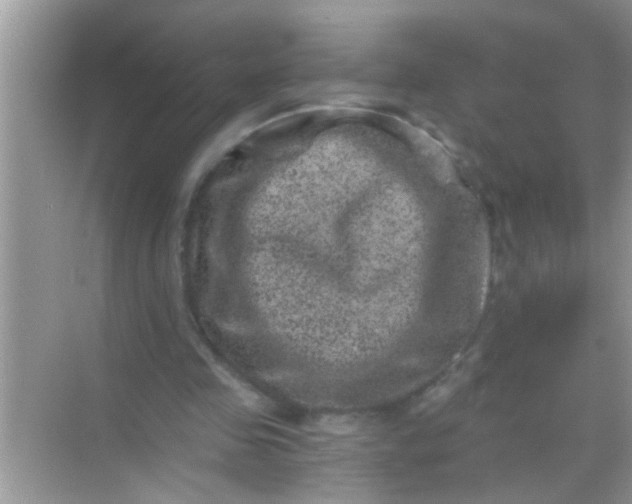 X0000068280341200605051847