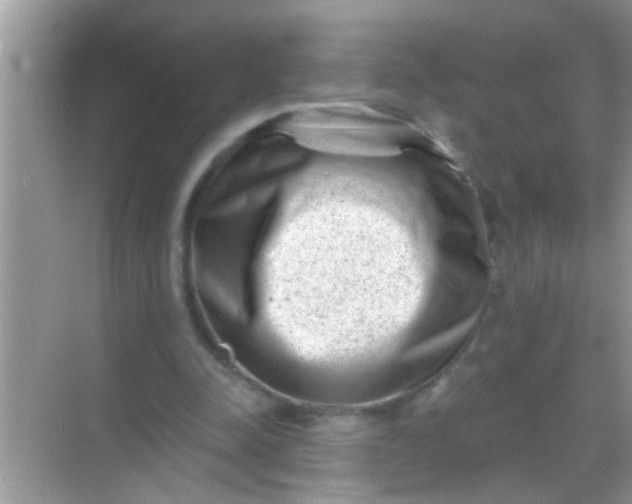 X0000068280342200605051847