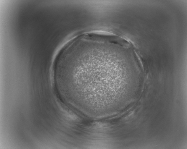 X0000068280343200605051847