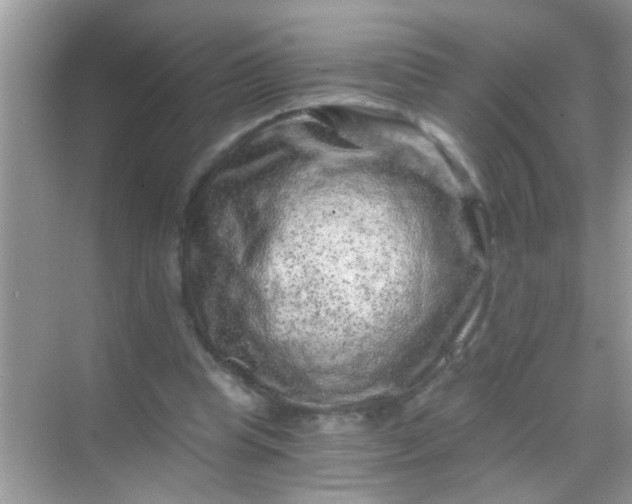 X0000068280345200605051847