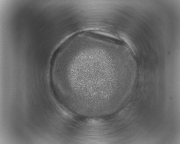 X0000068280346200605051847