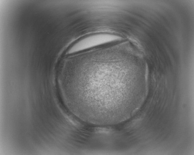 X0000068280347200605051847