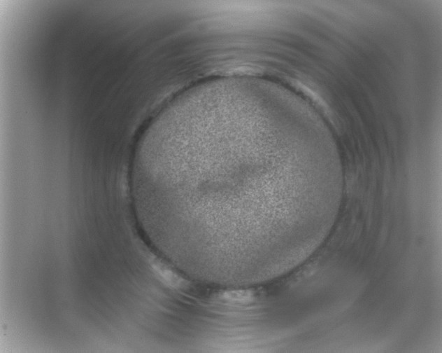 X0000068280353200605051847